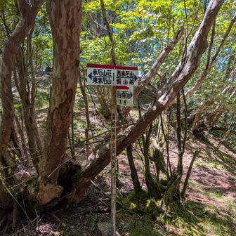 前赤石と八巻山分岐