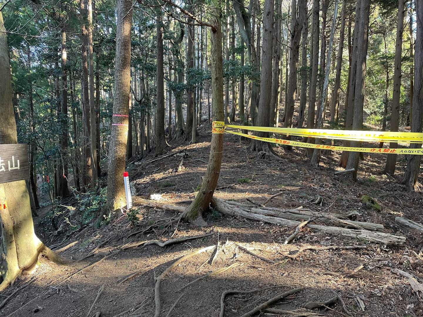 左手に登山道あり