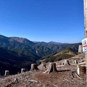 仏来山到着⛰️
まるで登山者に眺望を愉しんで
ください！と言わんばかりに
伐採された山頂です👏