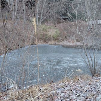 竜神池も凍ってました