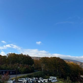 1日晴天になりそう☀️