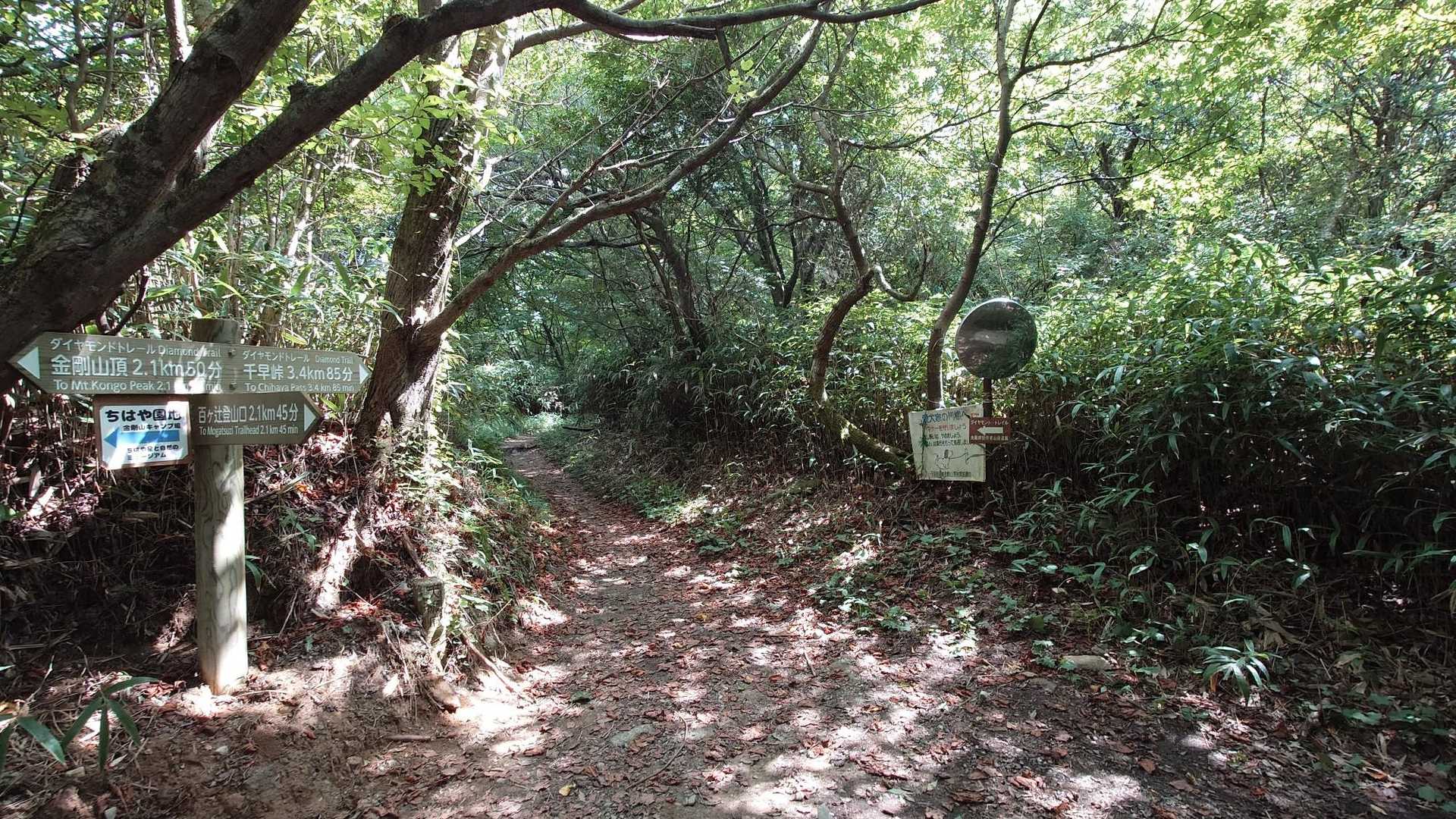 下山です😊