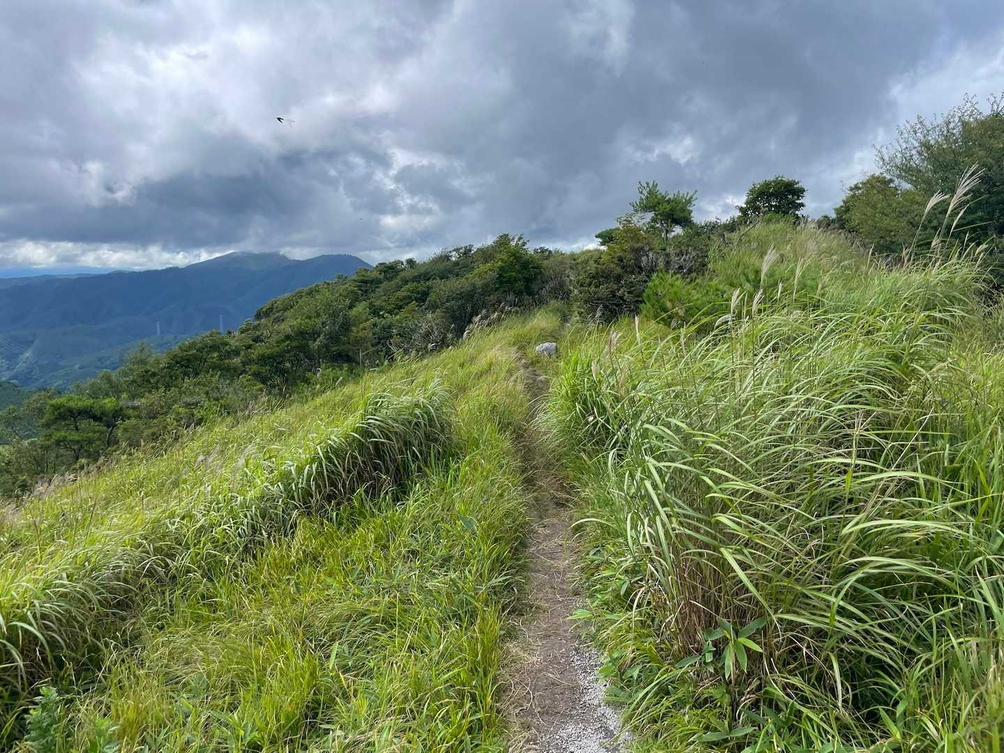 鷲ヶ峰往復 | 国指定天然記念物の植生豊かな高層湿原から、霧ヶ峰で有数の展望峰への写真