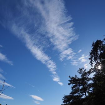 空を見上げると・・秋の空が良い感じです💙👍