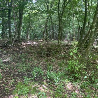 小屋の痕跡は見当たりません。
