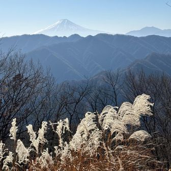 槇寄山山頂からの富士山の眺望