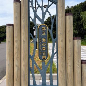 到着です
公園内にピーク