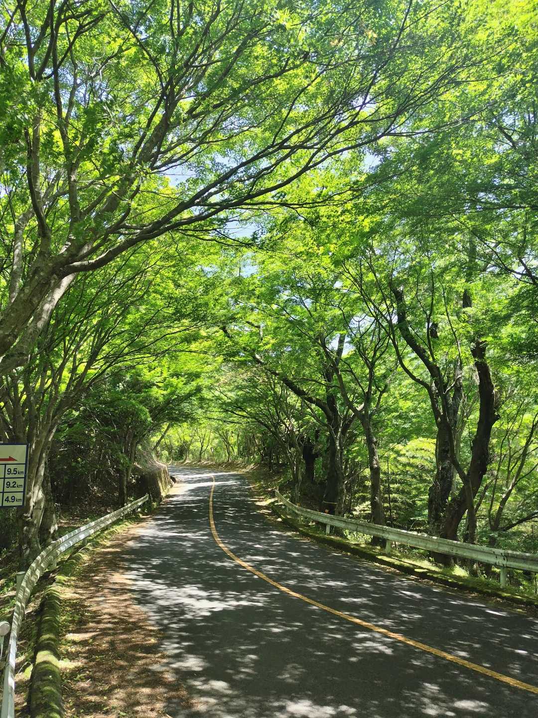 鳴川峠✨
緑が素敵✨