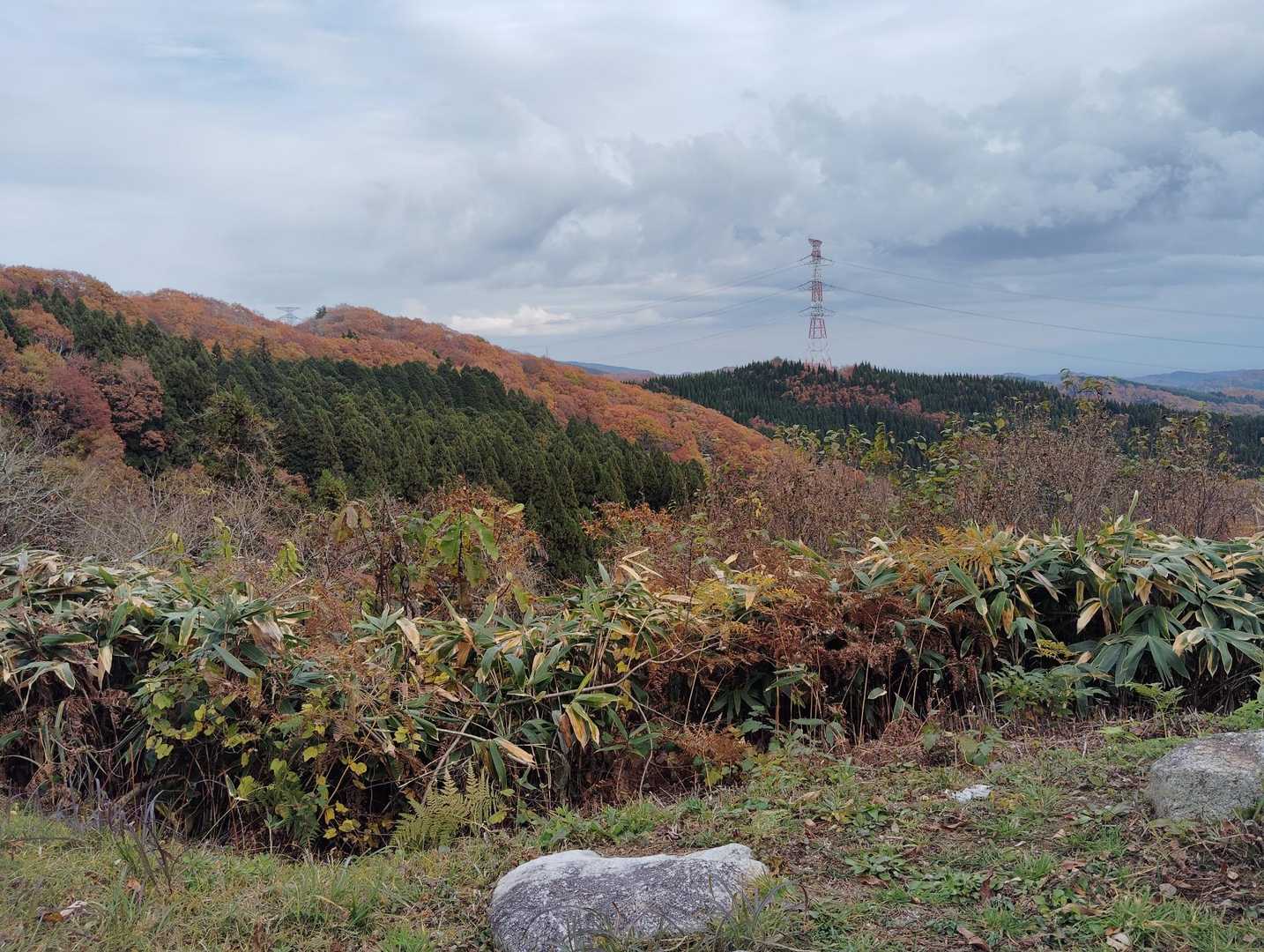 見晴らしポイント