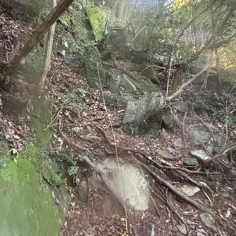 いきなり難易度高そうな傾斜を登っていきます。