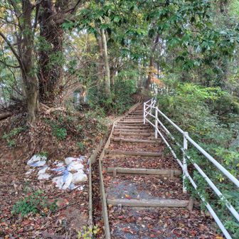一応、山頂(山頂標識は無いですが)に向かって伸びる階段です