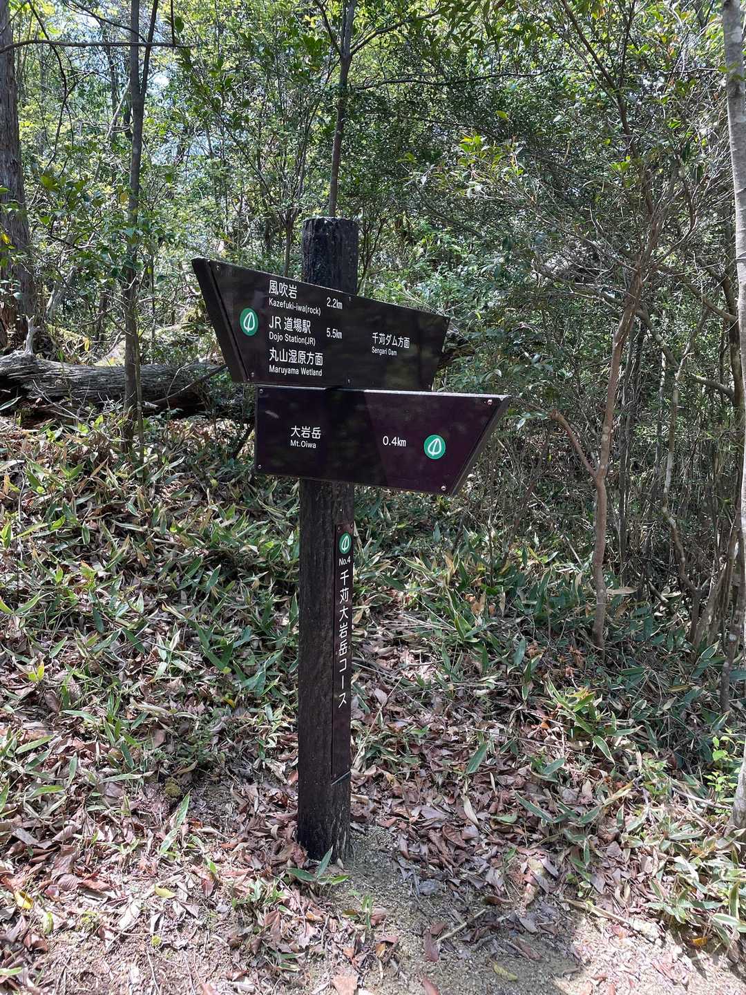 大岩ヶ岳登山口-大岩ヶ岳 往復コースの写真