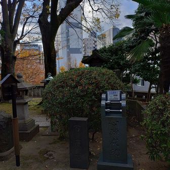 周りを見渡せるということは独立峰か。