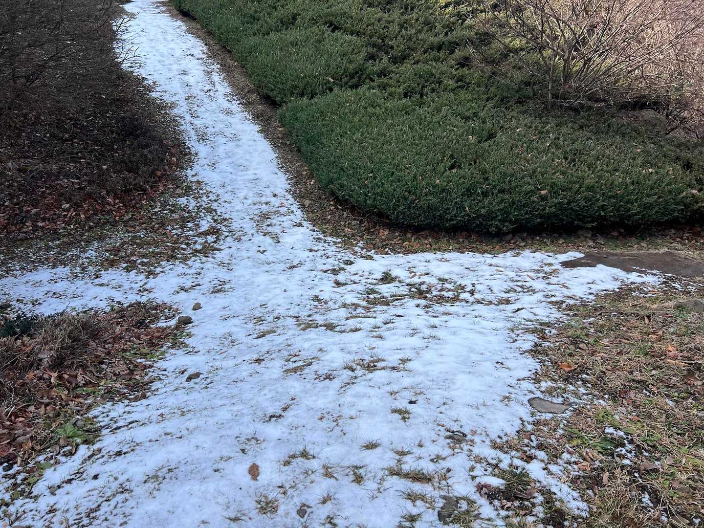 少し雪❄️