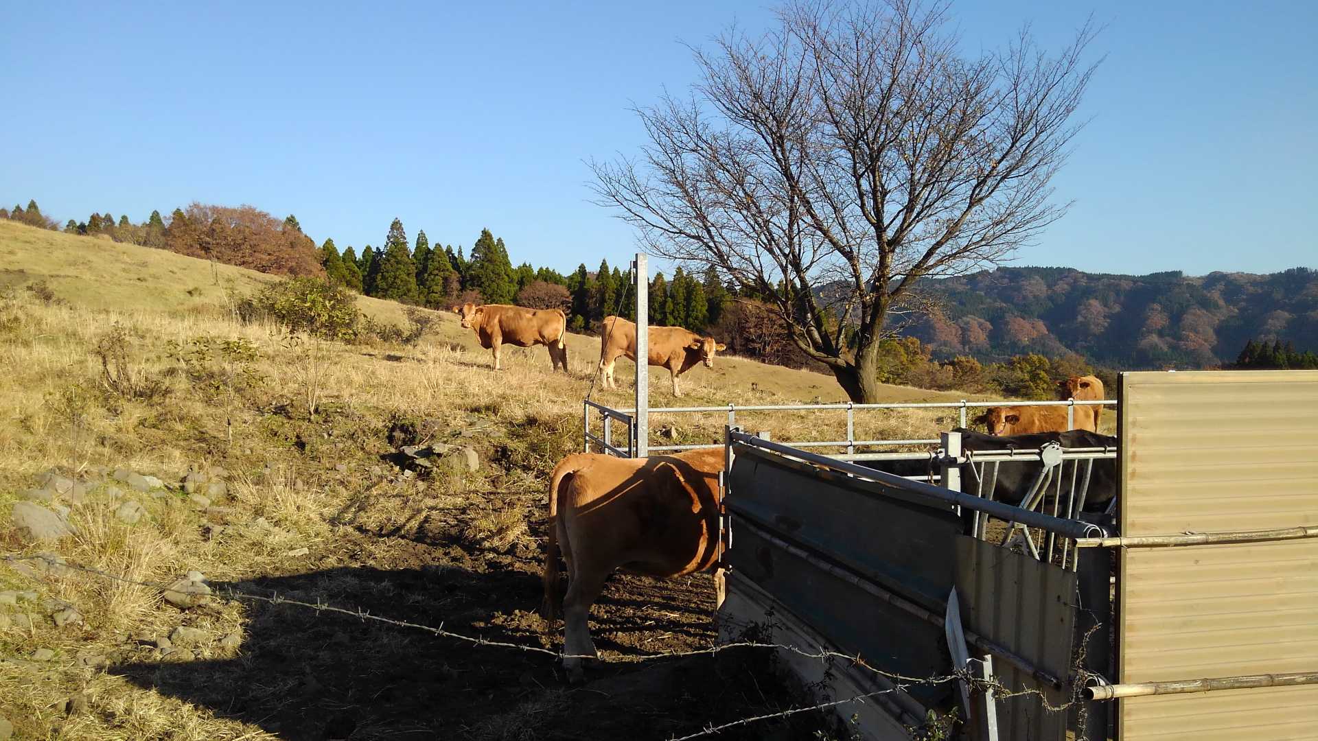 水飲み場横を通過