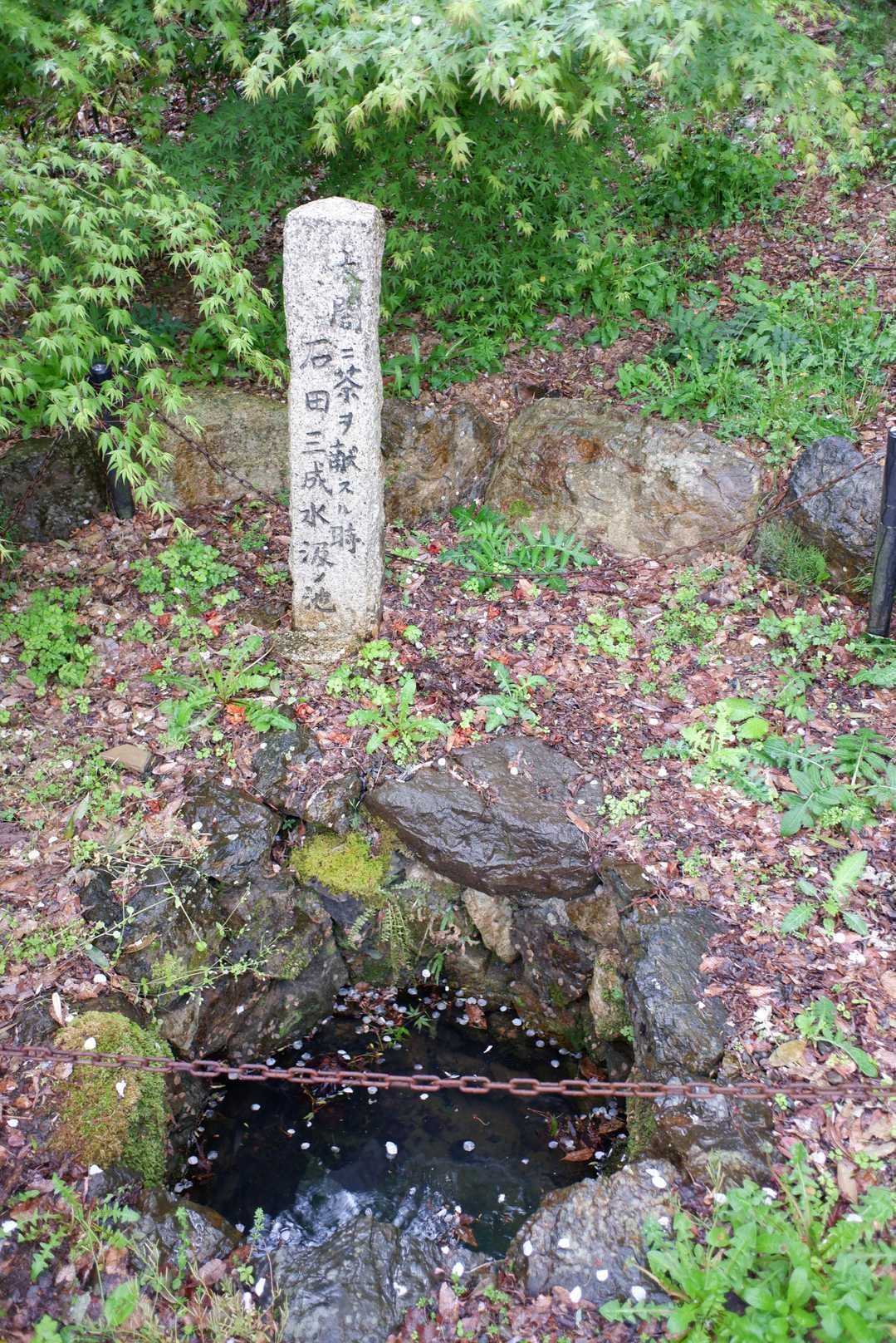 三献の茶