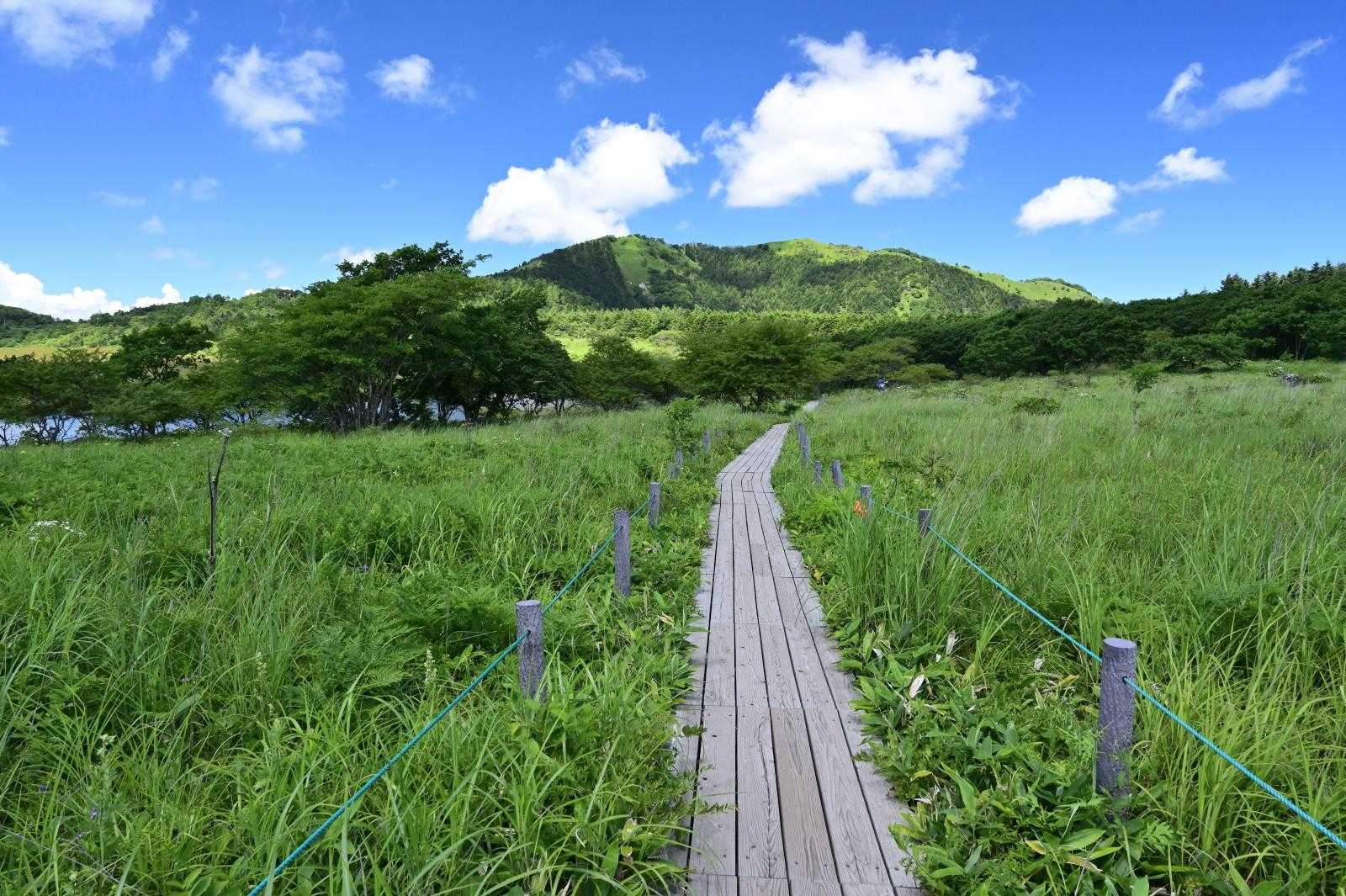 正面に見える鷲ヶ峰も行きたかったけど、
欲張らず次回のお楽しみにとっておこう