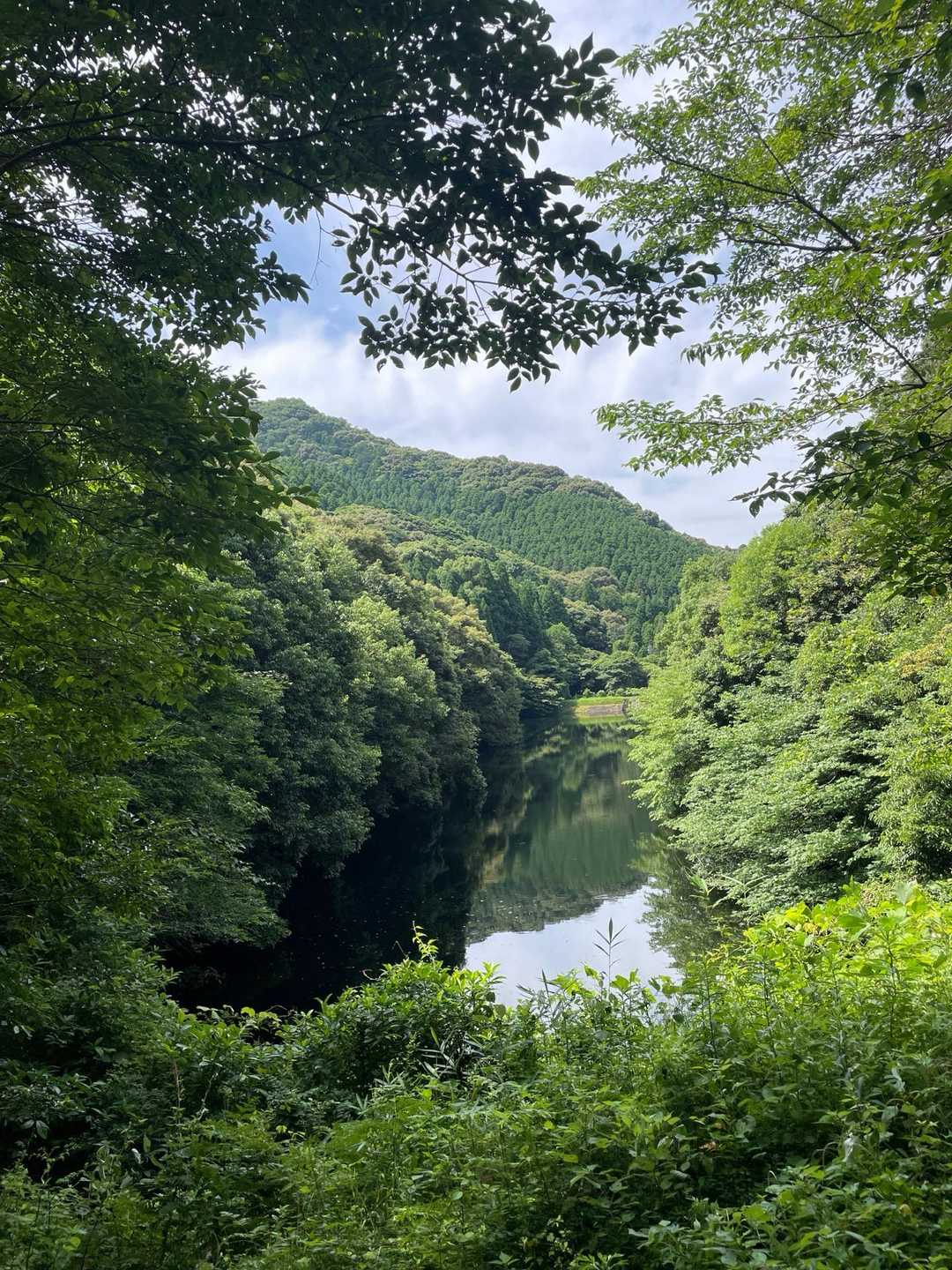 大津山 周回コースの写真