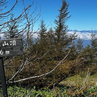 さっきの分岐から10分程で前鉢伏山