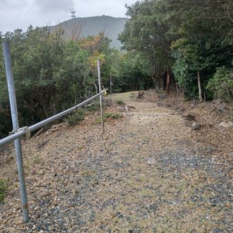 あの奥の電波塔らしきもののある山頂方面へ向かう🚶