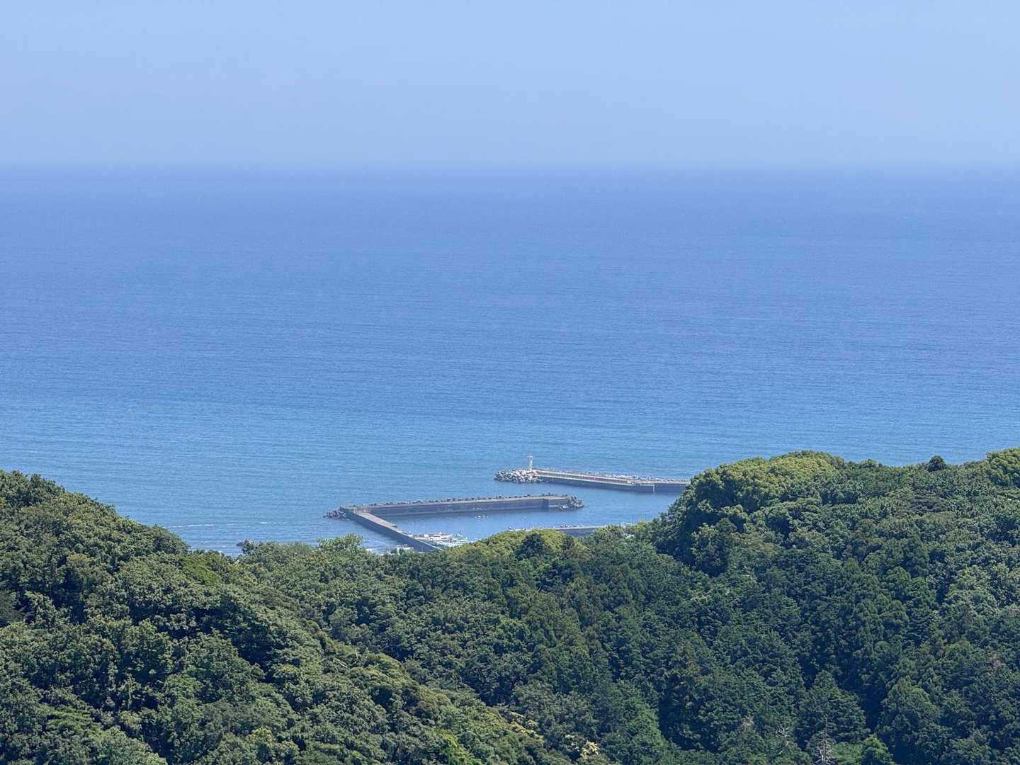 大磯港が見える