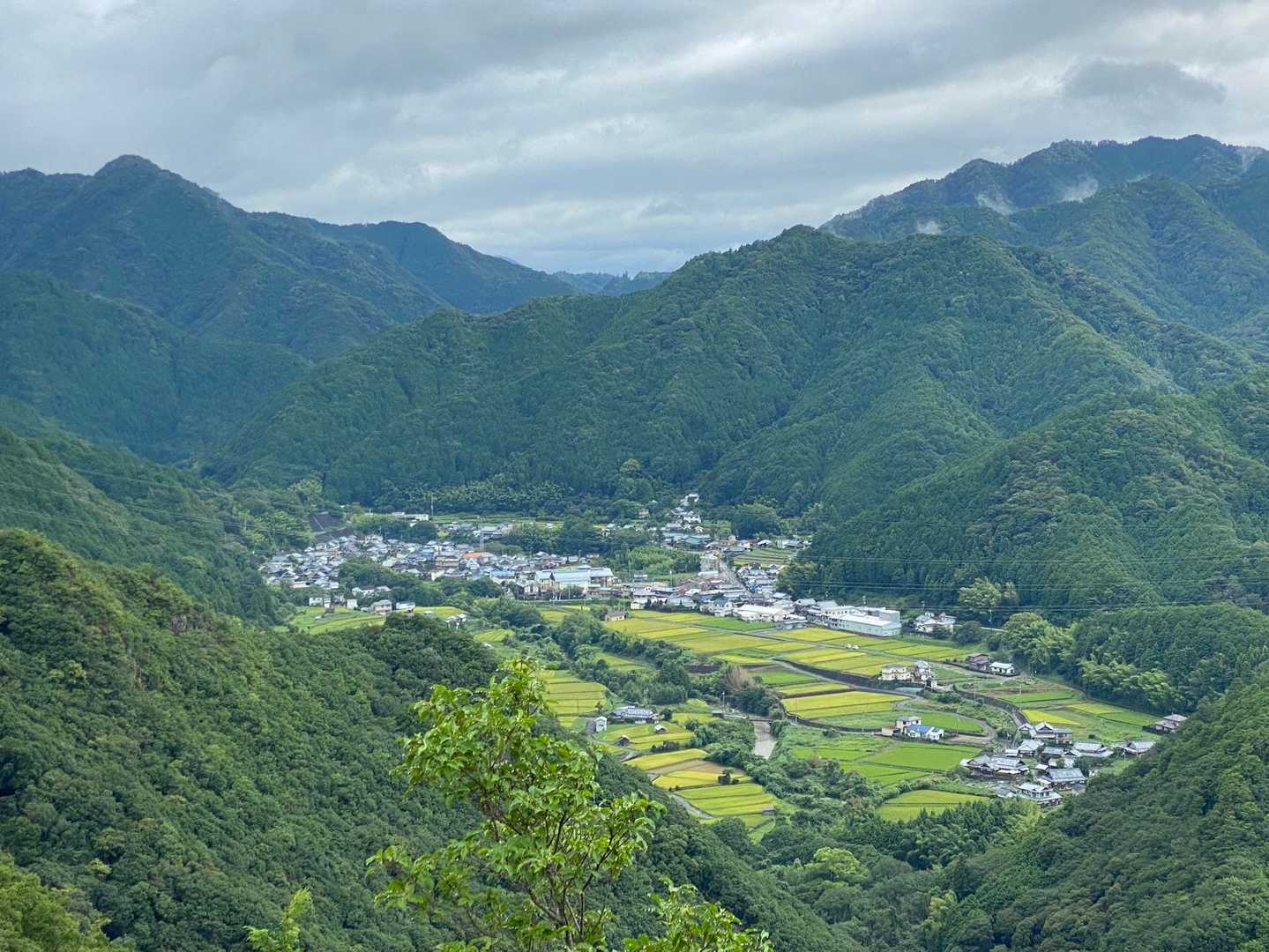 雲はまだ厚いかな。日根野荘は今日も綺麗。
