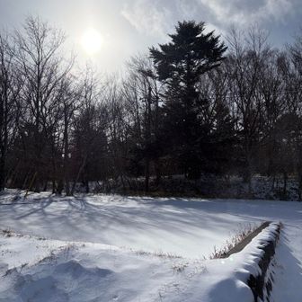 少し雪深くなってきました⛄️