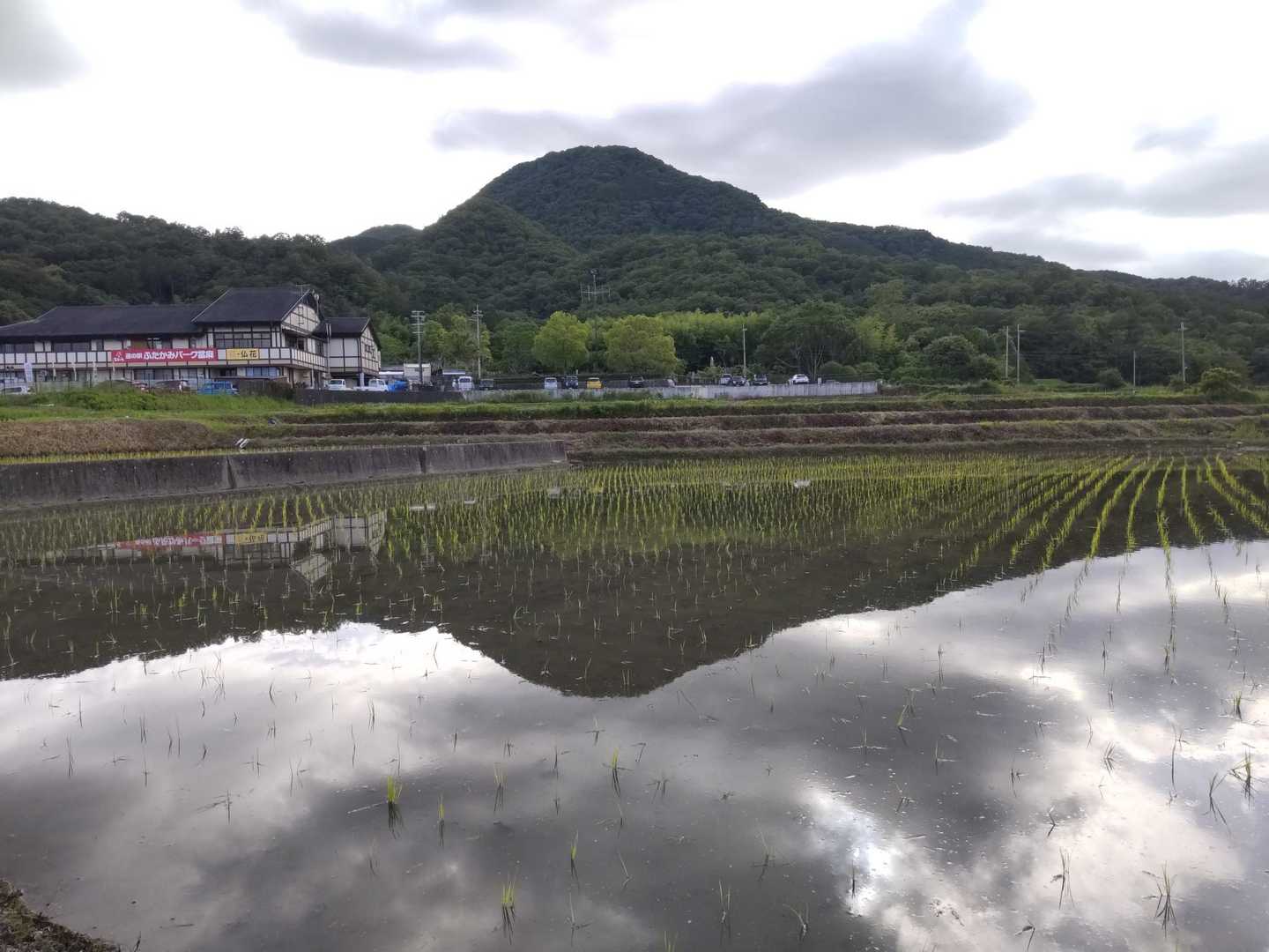 二上山から湧き出した水は水田を満たし、田植えの時期を迎えます。
　今日も無事の山行でした。最後までお読み下さりありがとうございました。