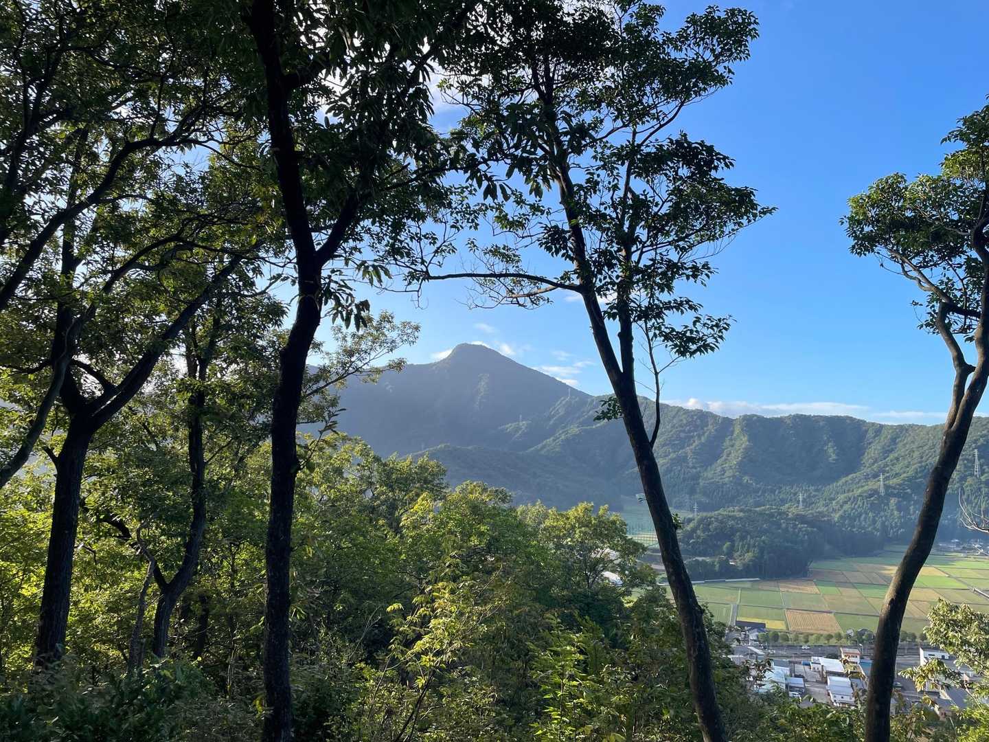 どんぐり山山頂からの日野山⛰️

ここから見る日野山が1番好きです😊