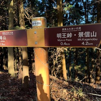 景信山を目指します