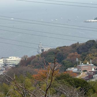 その前に高台から横須賀港を見下ろす、ドックに軍艦が止まってました