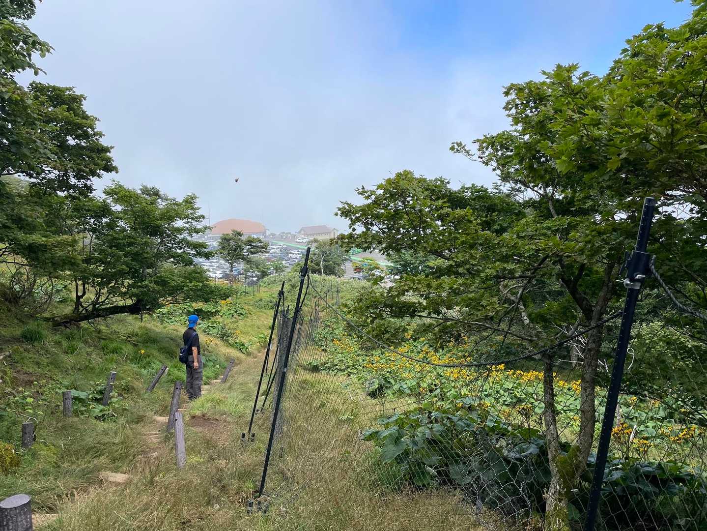 伊吹山 周回コースの写真