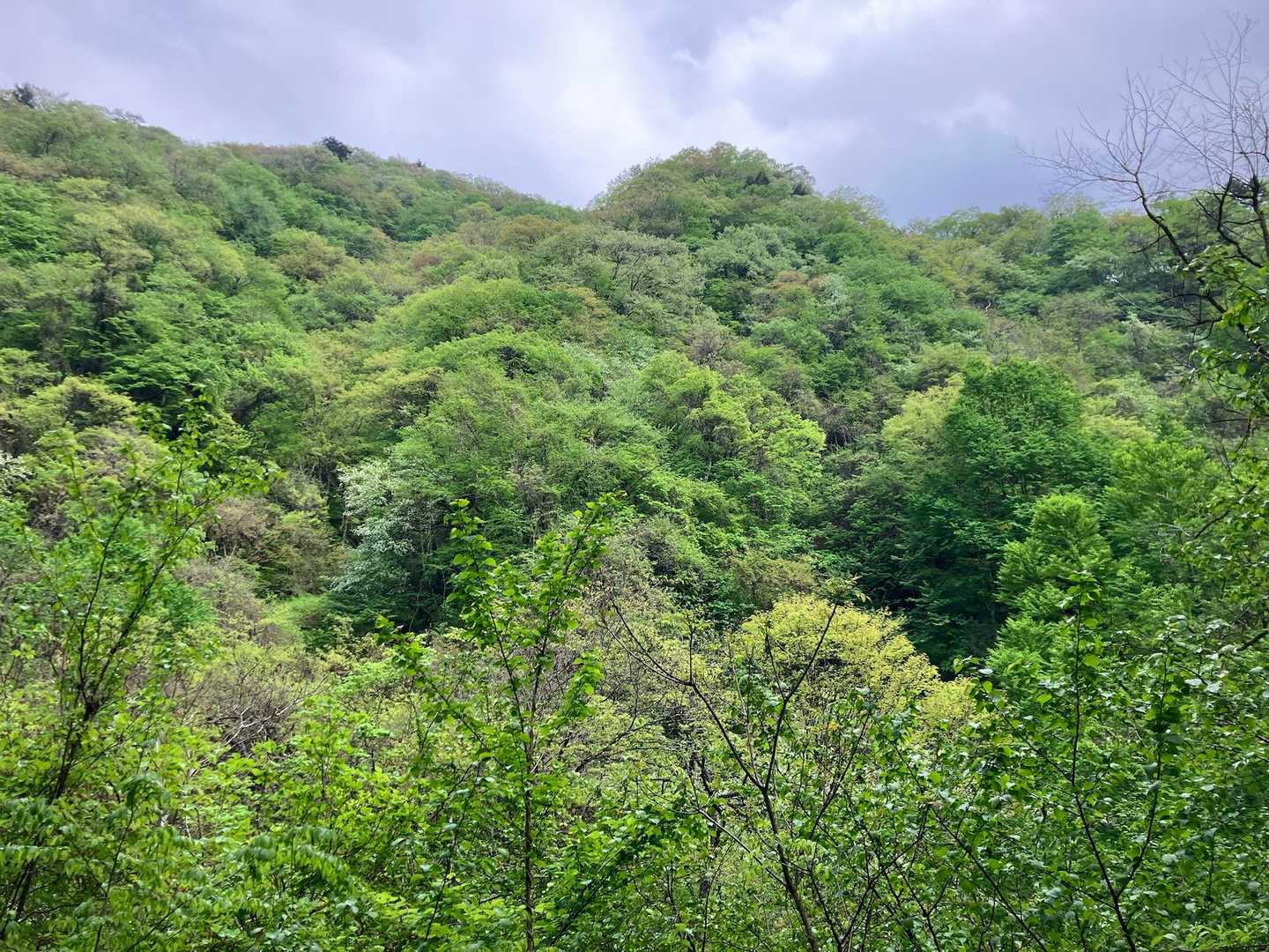 あっ　結構　下山したっポイぞ！