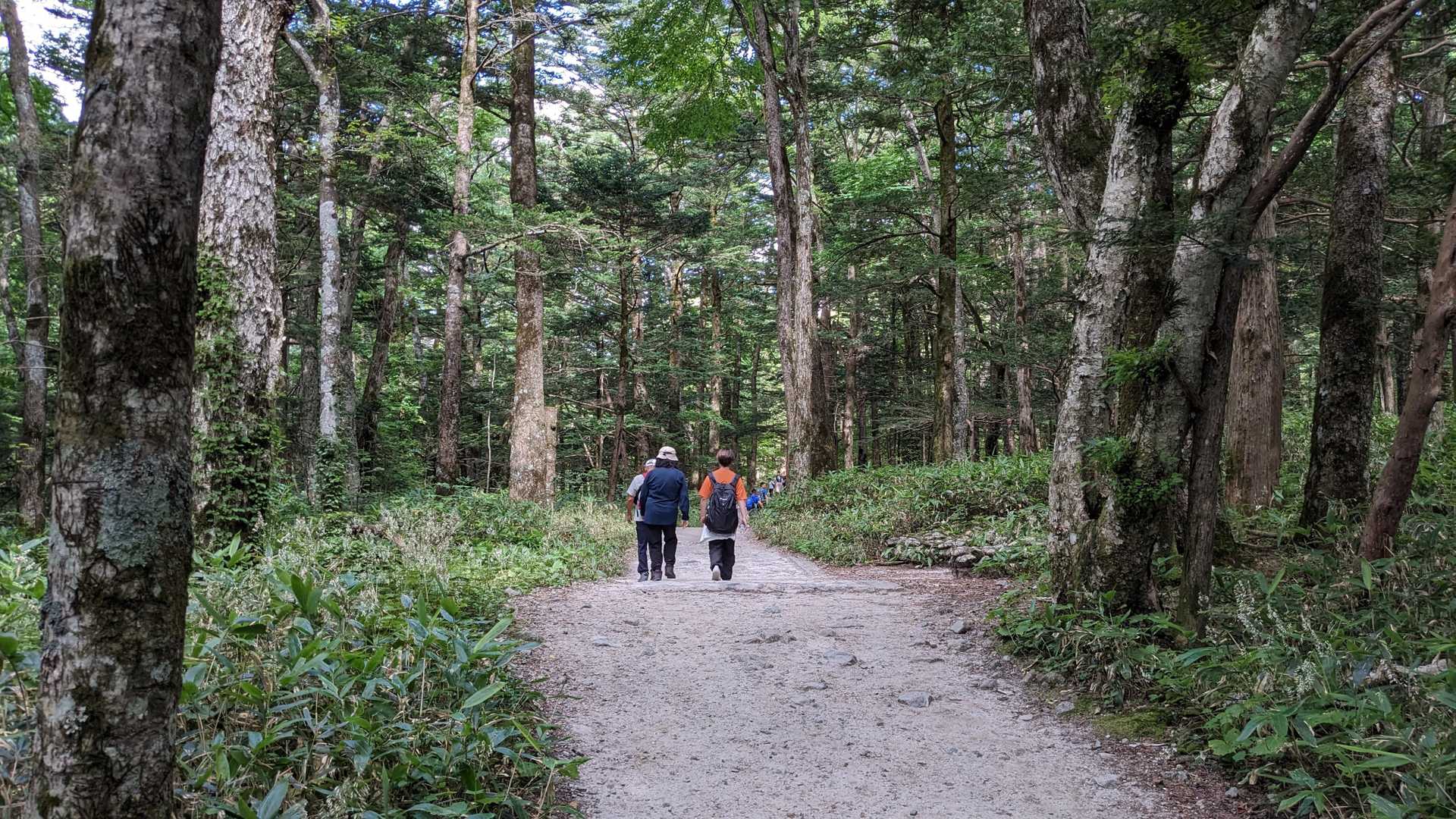 ゆるい登り下りの10ｋｍの道を行く３時間