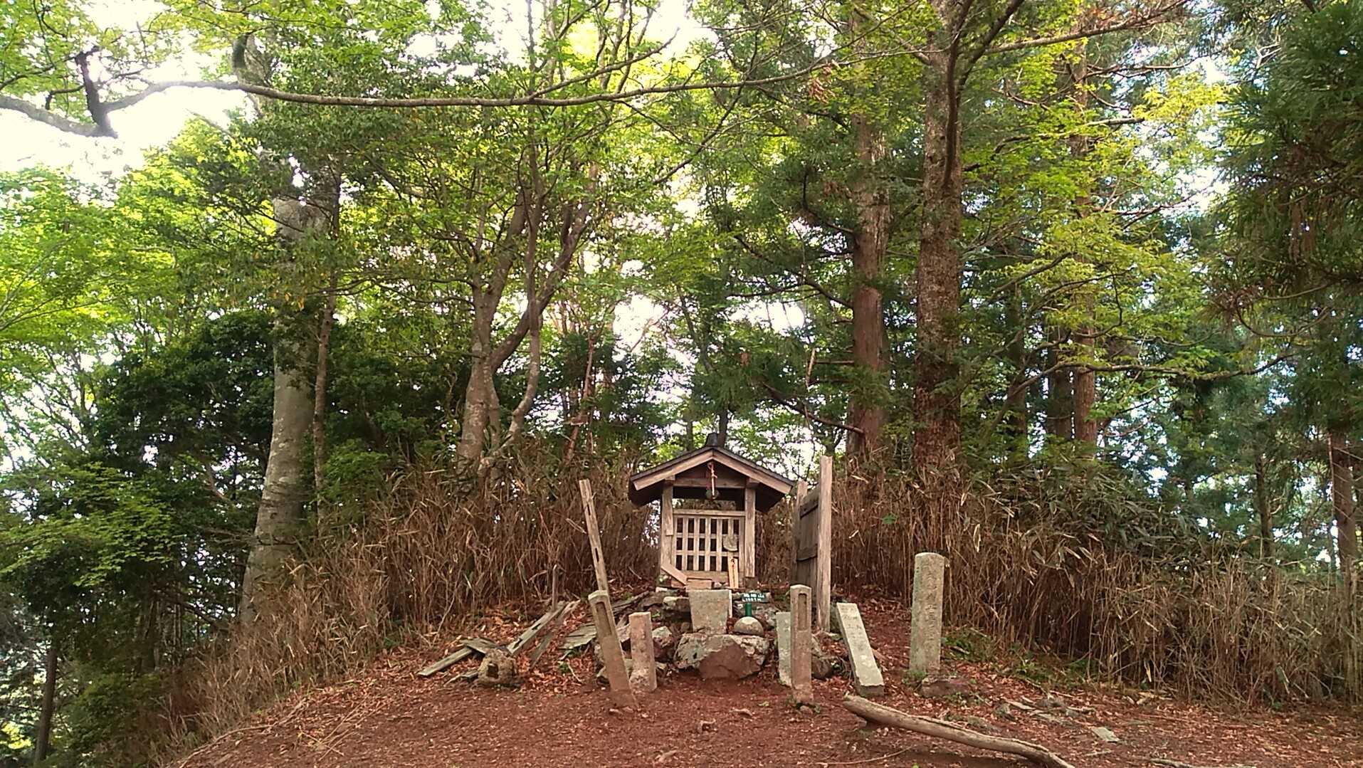 楊柳山の写真