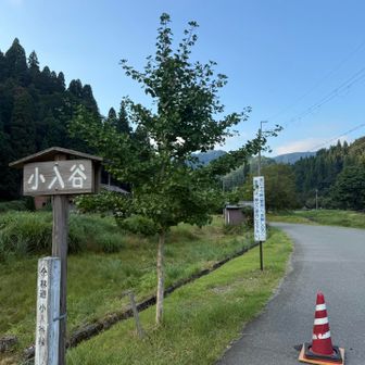 小入谷林道の入り口✨
ちょうどここのバス停に高島コミニティバス（ワゴン車）が来ていました。ここから右に折れて百里ヶ岳登山口へ10分弱。車に戻れました👌 最後までお読みくださり感謝です🙇‍♂️