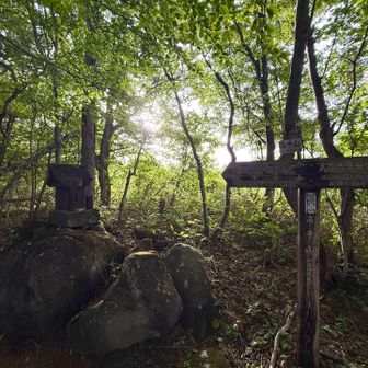 高手山にとうちゃこ⛰️
無事を祈願しました🙏

次行きましょ🚶💨