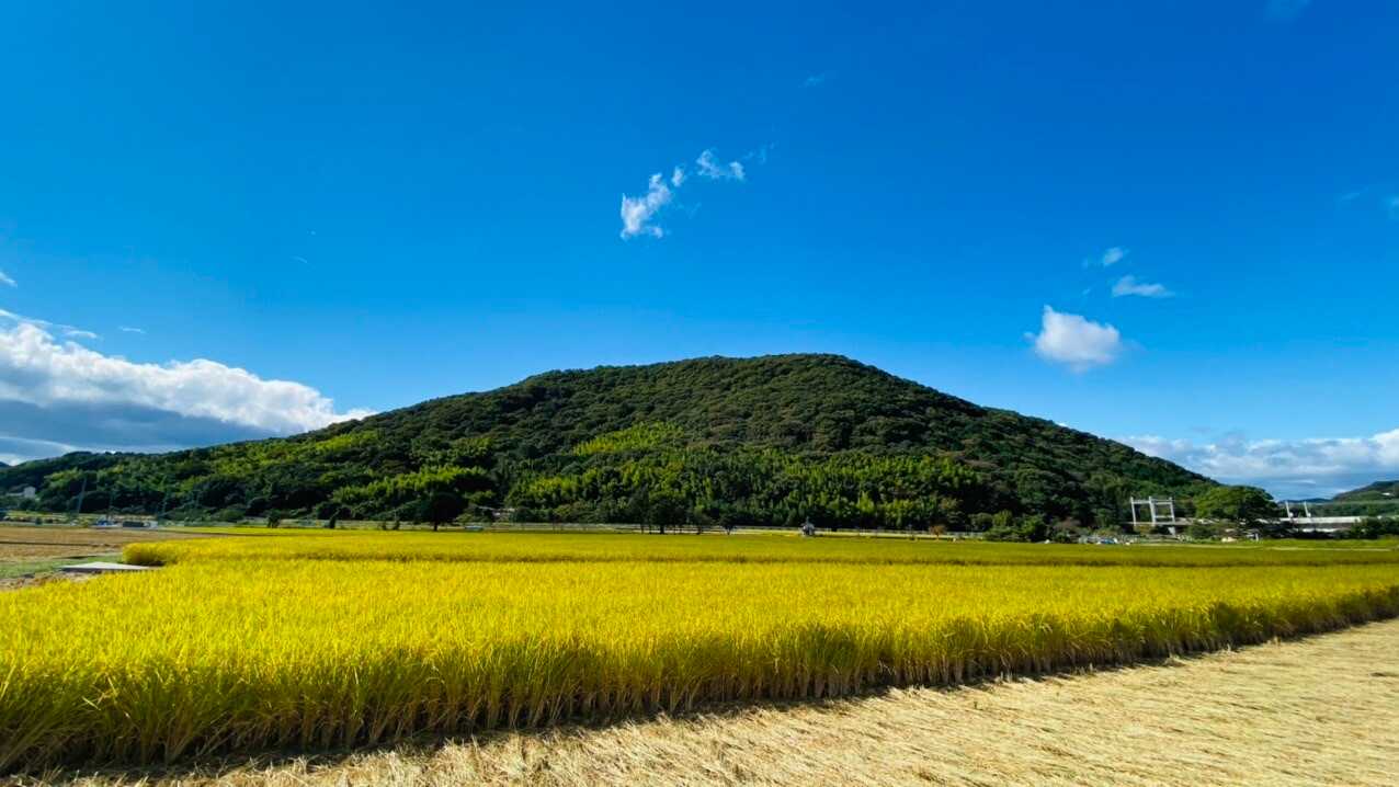 檀特山の写真