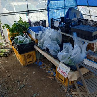 野菜は今日は余り売れてないのかな？