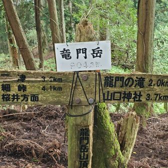 眺望は道中も山頂も有りません