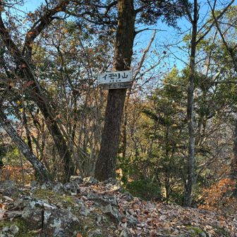 これが1番行きたかった（名前的に）