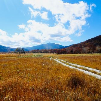 尾瀬ヶ原の草紅葉と至仏山