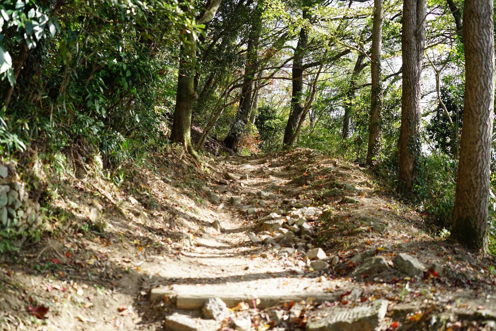 今朝、君に決めた！と鈴ヶ峰へ。