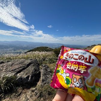 溶けない季節の到来