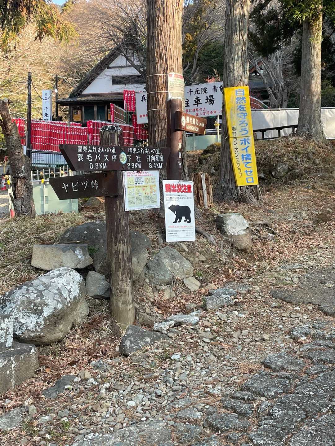 ここから蓑毛超、よく行きました。
今日も数名いましたねえ。