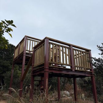 田原アルプス最高峰の衣笠山山頂
わんこ頭頂部