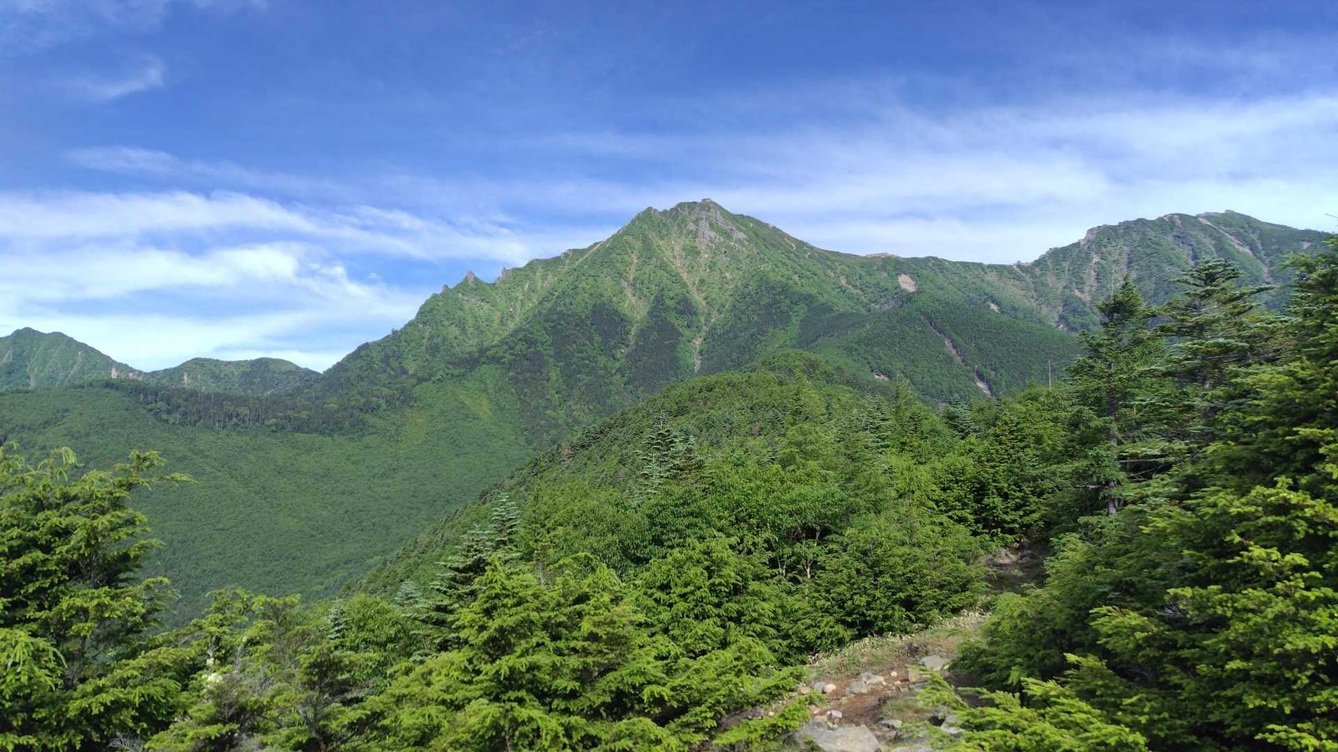 赤岳と横岳。青空と雲、緑の山体がとても綺麗。