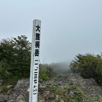早いお昼ごはんを食べながら、のーんびり真っ白な山頂を満喫🤍 
1時間位いてしまった😅