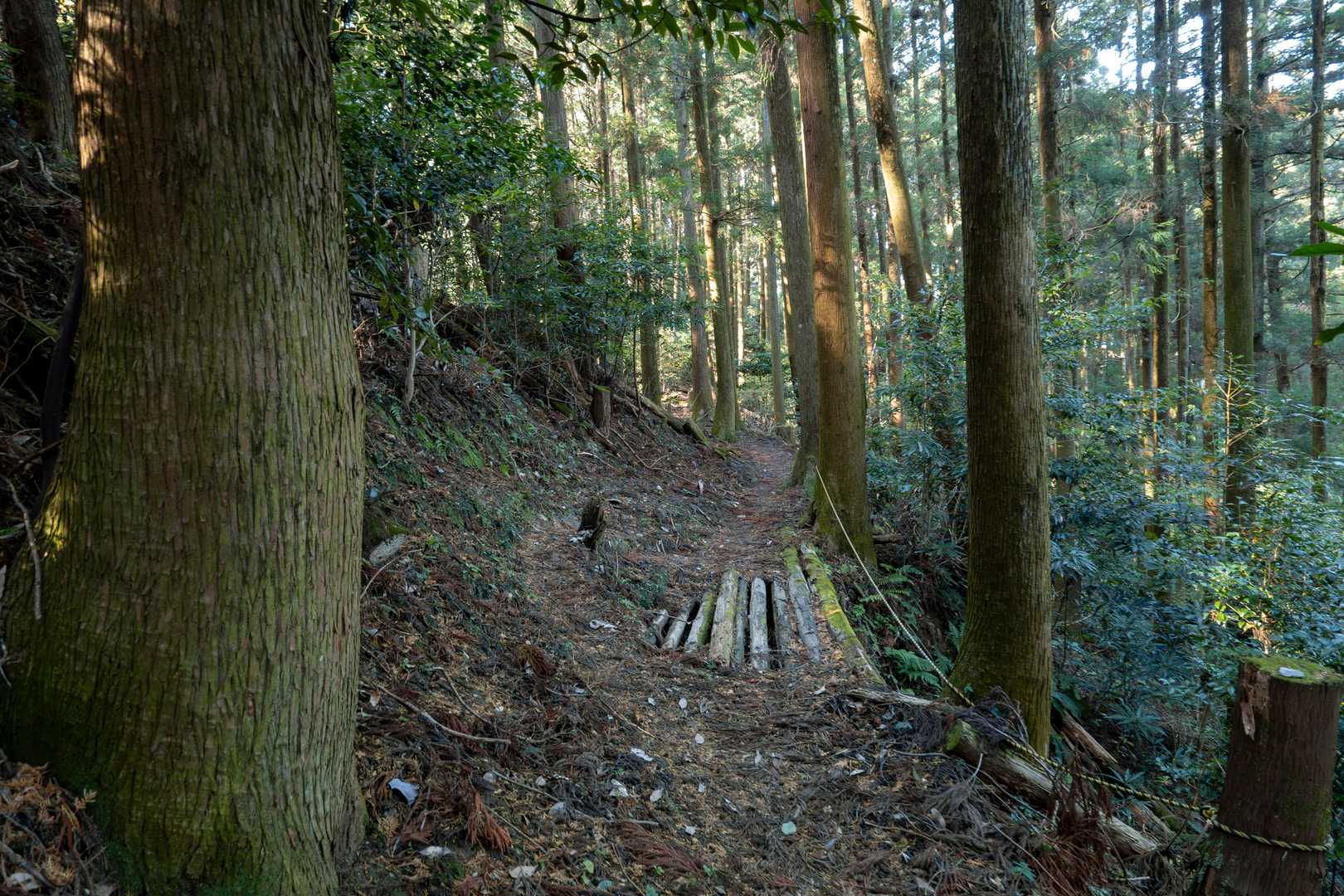Yamap地図にも記載されている注意箇所の丸太橋
飛び越すジャンプ力はないので左の山側を通行