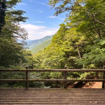 青崩峠からの景色。
前回はこの視界全てが紅葉で素晴らしかった🍁

またそんな時期にも来たいですな〜
